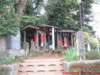 dscf03692_small.jpg