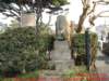 dscf0394_small.jpg
