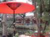 dscf00752_small.jpg