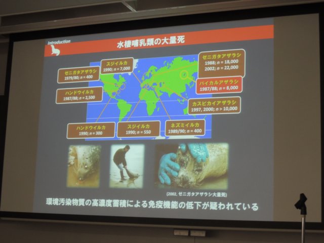 dscn7833.jpg
