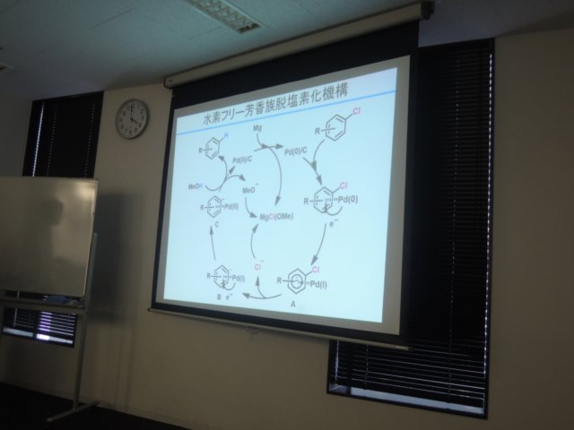 dscn8978.jpg