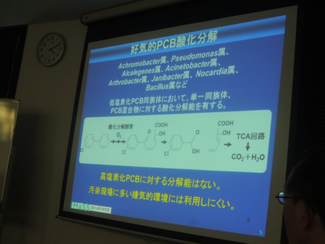 dscn8981.jpg