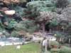 dsc05564_small.jpg