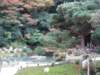 dsc05565_small.jpg