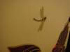 dsc05566_small.jpg