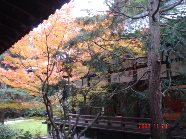dsc05567.jpg