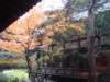 dsc05567_small.jpg
