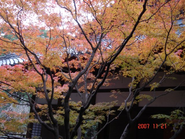 dsc05569.jpg