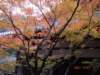 dsc05569_small.jpg