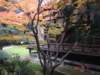 dsc05571_small.jpg