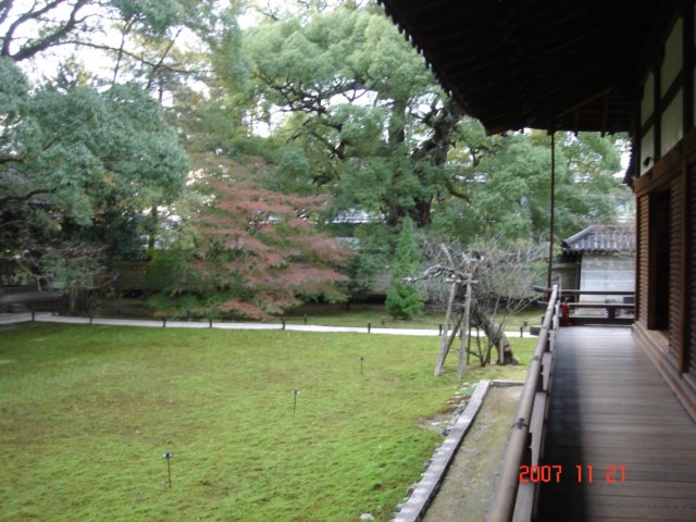 dsc05575.jpg