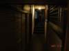 dsc05578_small.jpg