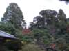 dsc05581_small.jpg