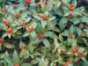 dsc05583_small.jpg