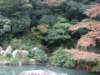 dsc05584_small.jpg