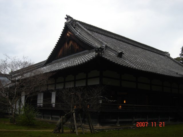 dsc05598.jpg