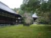 dsc05599_small.jpg