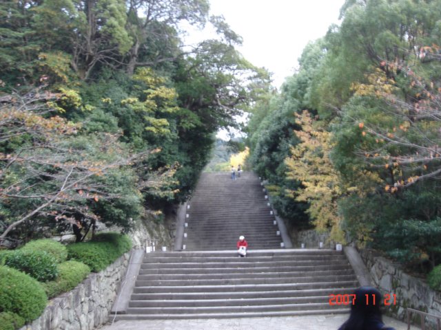 dsc05609.jpg