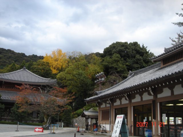 dsc05613.jpg