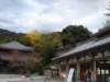 dsc05613_small.jpg