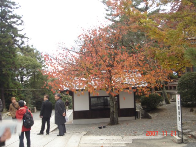 dsc05615.jpg