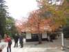 dsc05615_small.jpg