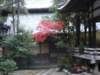 dsc05618_small.jpg