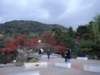 dsc05625_small.jpg