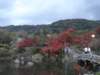 dsc05627_small.jpg