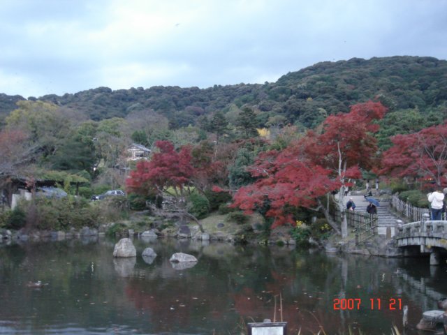 dsc05628.jpg