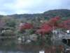 dsc05628_small.jpg