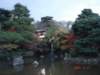 dsc05629_small.jpg