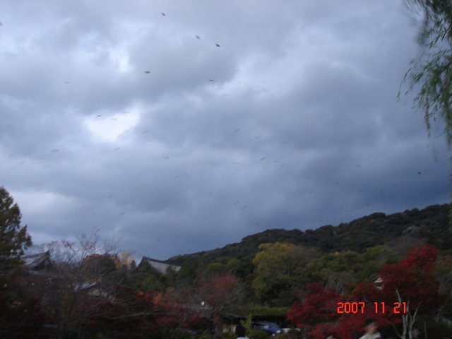 dsc05636.jpg