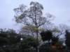 dsc05637_small.jpg