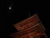 dsc05704_small.jpg