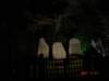dsc05715_small.jpg