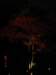 dsc05716_small.jpg