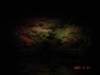 dsc05717_small.jpg