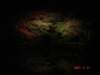 dsc05718_small.jpg