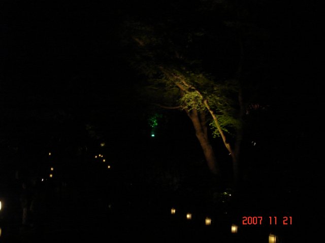dsc05723.jpg
