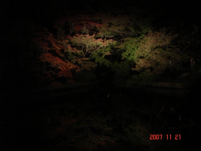 dsc05727.jpg