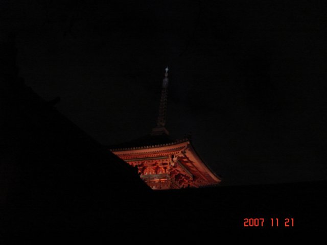 dsc05728.jpg