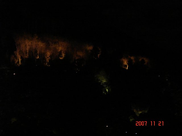 dsc05729.jpg