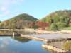dsc01390_small.jpg