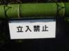 dsc01391_small.jpg