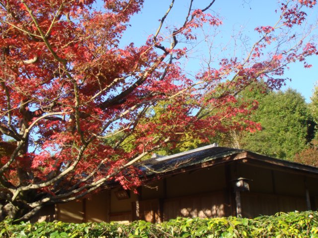 dsc01394.jpg