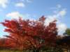 dsc01395_small.jpg