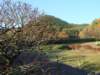 dsc01396_small.jpg