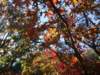 dsc01397_small.jpg