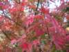 dsc01398_small.jpg